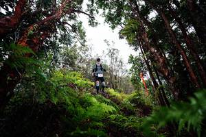 BIB: 
                            <button type="button" onclick="openModal(26201354)" class="btn btn-primary btn-sm float-right btn-popup" data-toggle="modal" data-target=".modal-high-quality">
                        <i class="fas fa-shopping-cart"></i> Add to Cart
                    </button>
                                            <button type="button" onclick="isThisMe(26201354, true)" class="btn btn-success btn-sm float-right btn-popup btn-isme hidden" data-toggle="tooltip" data-placement="bottom" title="นี่คือรูปของคุณใช่ไหม คลิกที่นี่เพื่อเอาเข้าอัลบั้ม">
                        <i class="fas fa-plus"></i> Add to album
                    </button>
                    <button type="button" onclick="isThisMe(26201354, false)" class="btn btn-warning btn-sm float-right btn-popup btn-isnotme hidden">
                        <i class="fas fa-ban"></i> Remove from album
                    </button>